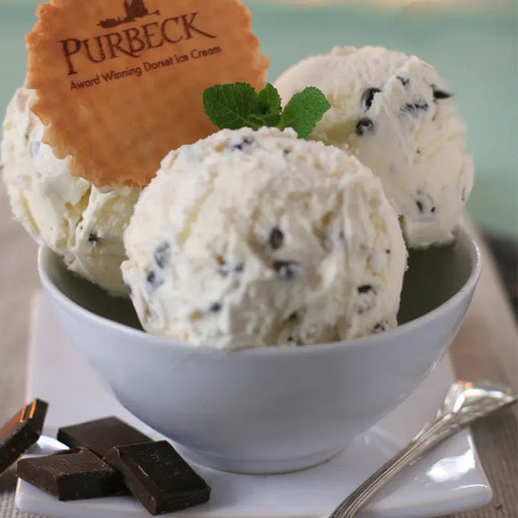 Purbeck Quality Ice Cream - Mint Chocolate Chip  125ml
