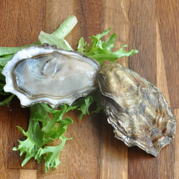 Oysters West Mersea - Box of 25