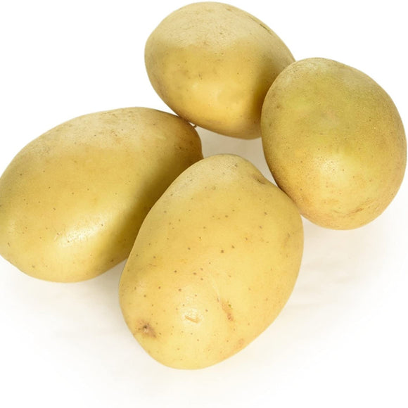 Potatoes Jacket  X 1
